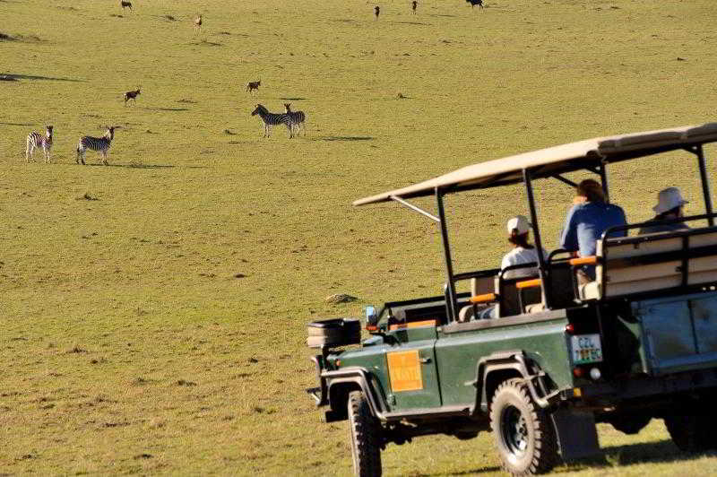 Kwantu Private Game Reserve Sidbury Eksteriør billede
